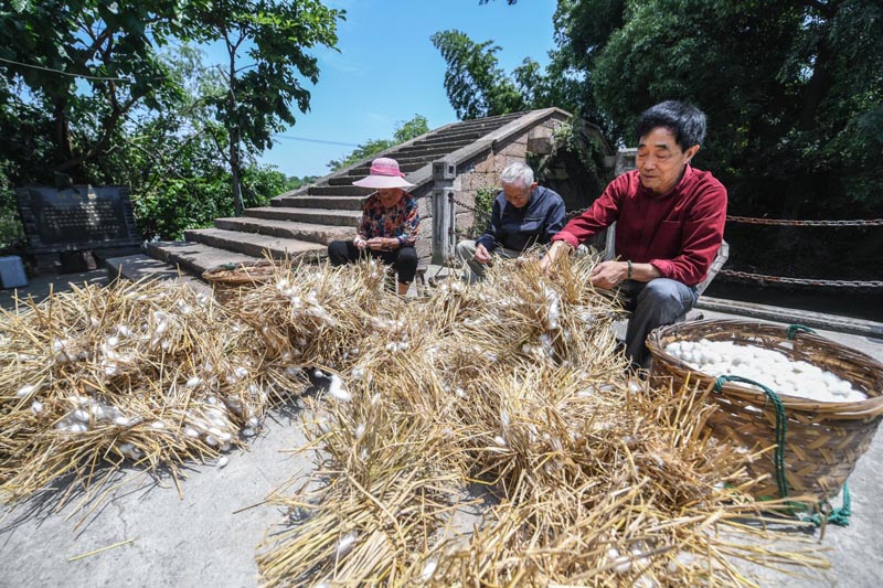 草留最新地——绿色生命蓬勃发展的道路